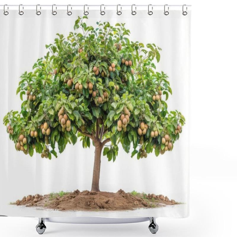 Personality  A Lush Tree Laden With Ripe Loquats, Showcasing A Vibrant Green Canopy And Abundant Fruit Against A Clean, White Background. Shower Curtains