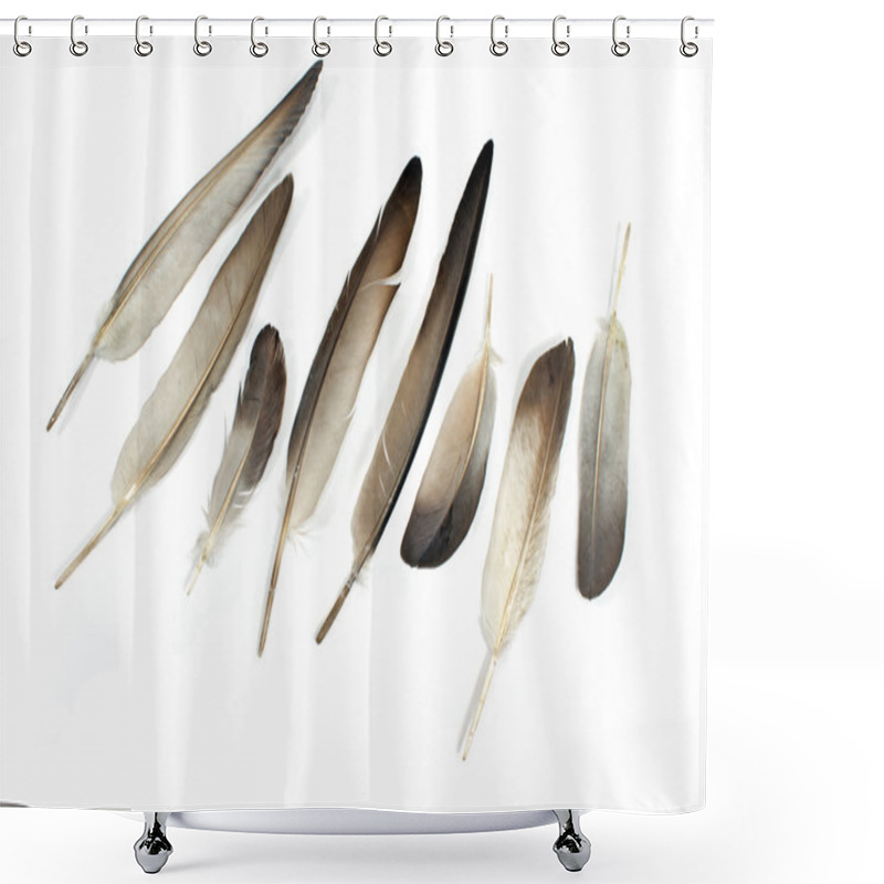 Personality  Feathers Isolated On White Shower Curtains