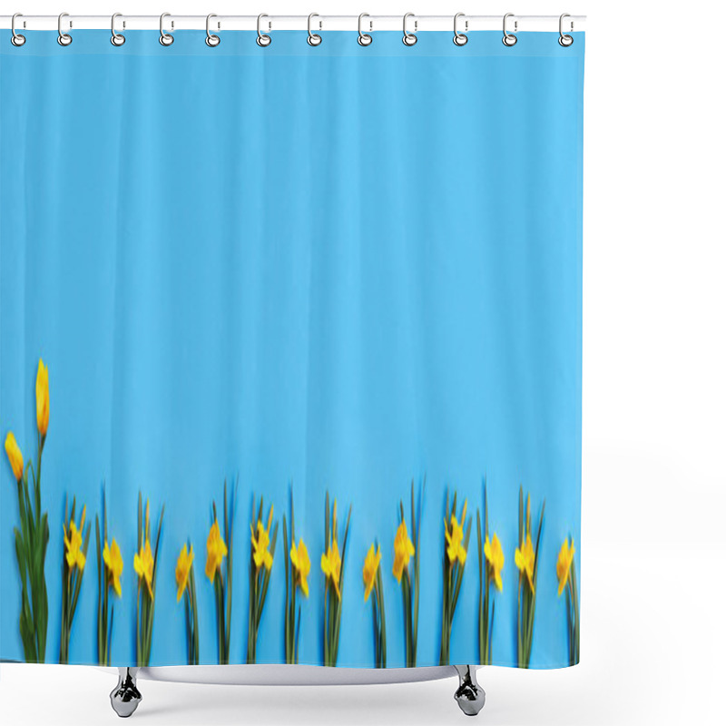 Personality  Set Of Beautiful Yellow Daffodils Lie On A Blue Background. Flat Lay Top View With Copy Space For  Your Text Shower Curtains