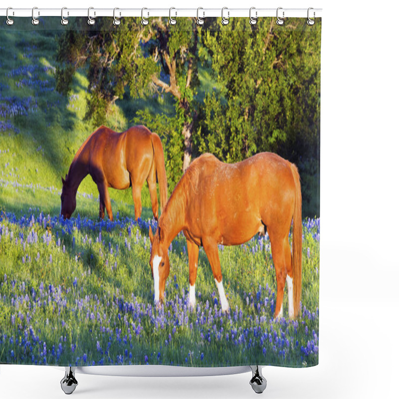 Personality  Horse With Spring Bluebonnets Shower Curtains