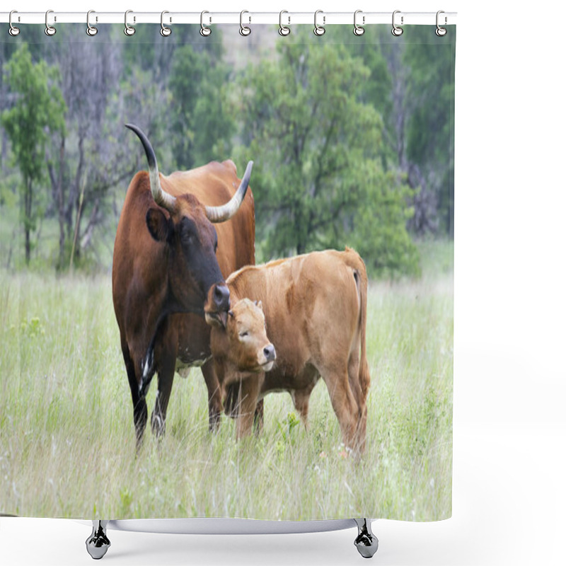 Personality  Texas Longhorn  Shower Curtains