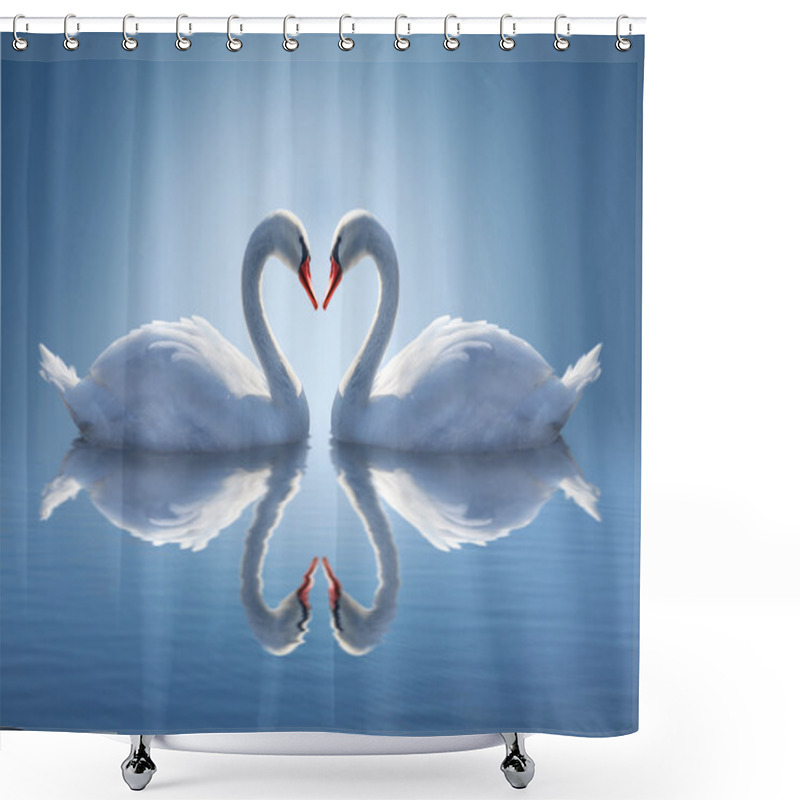 Personality  Romantic Two Swans,  Symbol Of Love. Shower Curtains