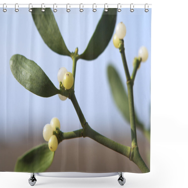 Personality  Mistletoe Plant Close-up Shower Curtains