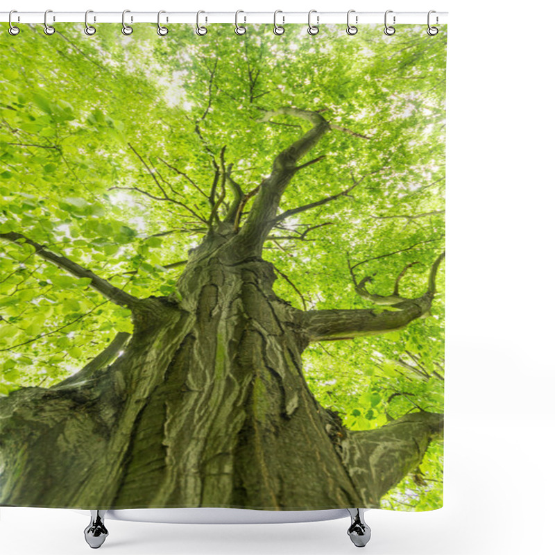 Personality  Tree Shower Curtains