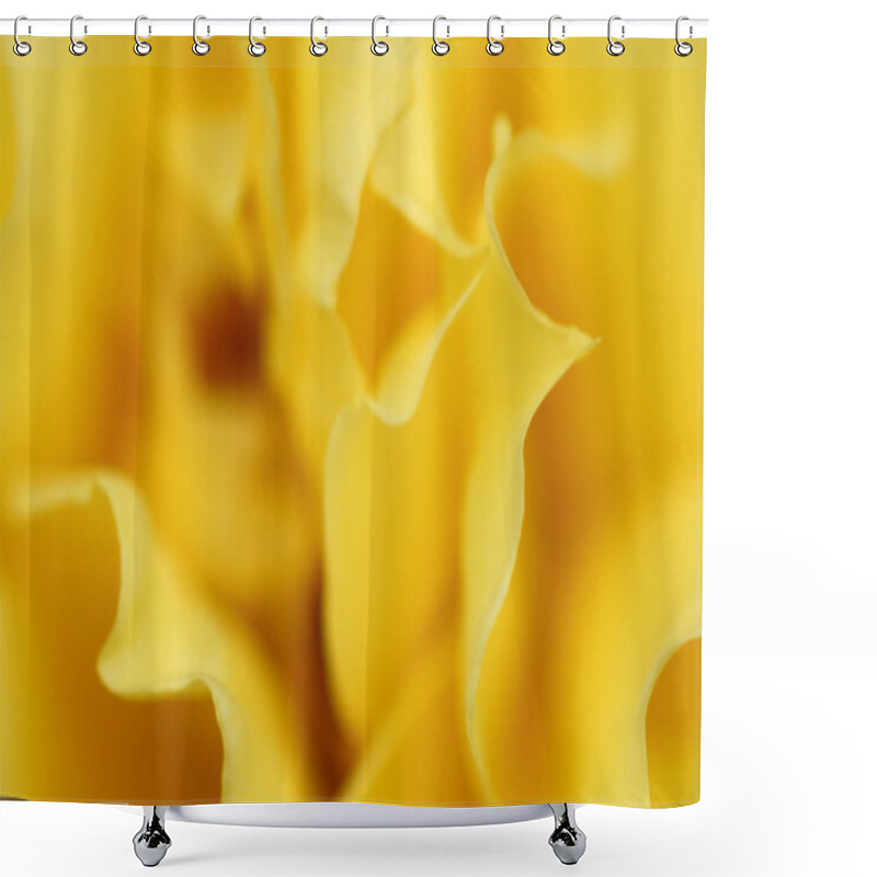 Personality  Yellow Rose Petals Shower Curtains