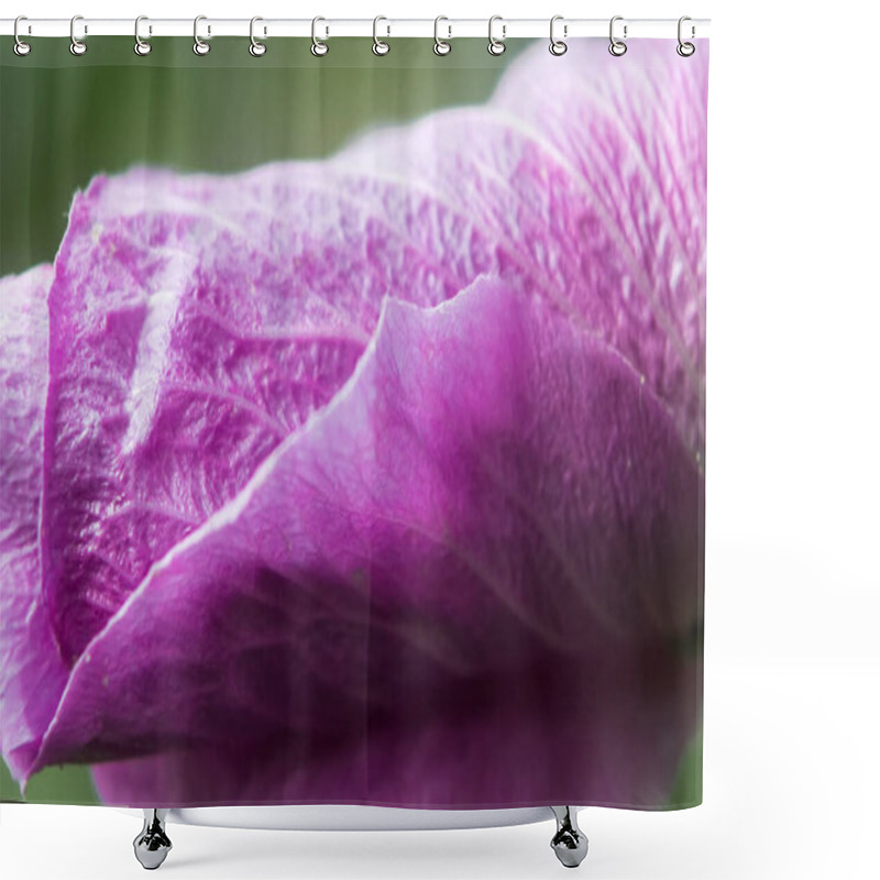 Personality  Explore The Intricate Beauty Of A Vivid Purple Hibiscus Bud In A Stunning Close-up Photo, Showcasing The Delicate Details Of Nature's Floral Perfection Shower Curtains