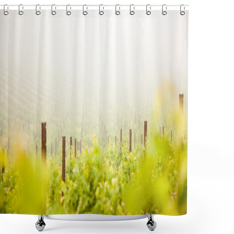 Personality  Beautiful Lush Grape Vineyard In The Mist Shower Curtains