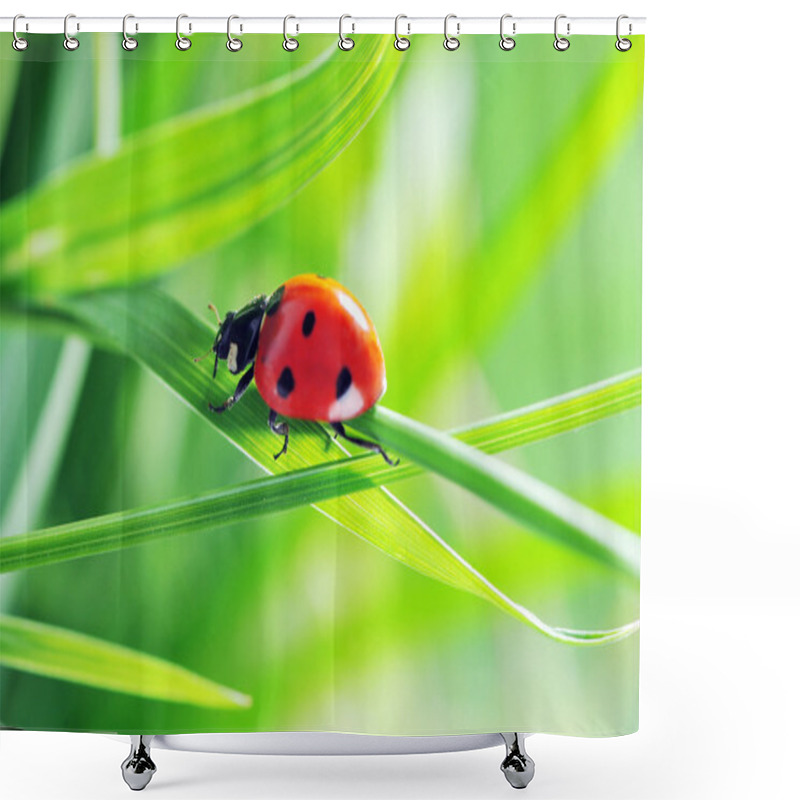 Personality  Ladybug On Grass Shower Curtains