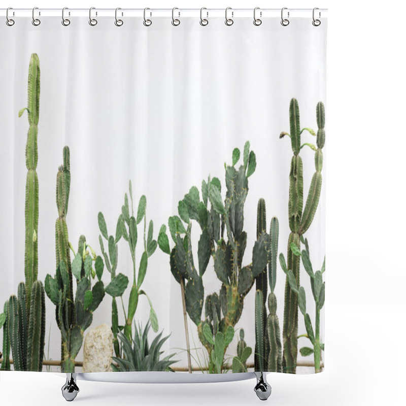 Personality  Various Growing Green Cactus Plant In Cactus Garden On White Background. Shower Curtains