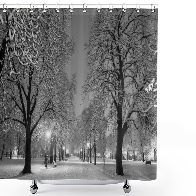 Personality  Winter Snow Park Shower Curtains