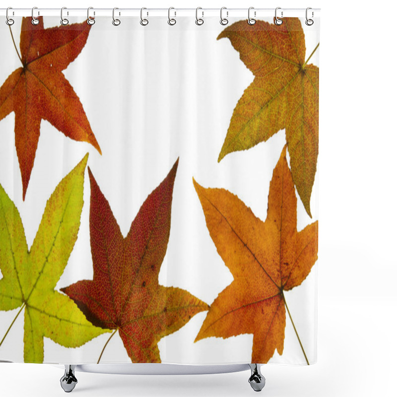 Personality  Liquid Amber Tree Fall Leaves Backlit Shower Curtains