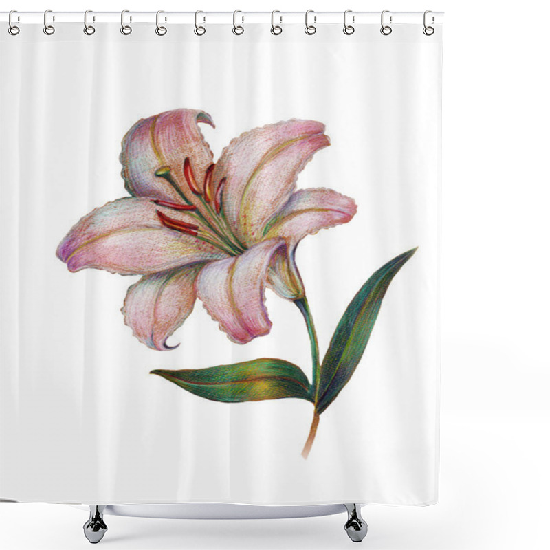 Personality  Illustration Of Lily Shower Curtains