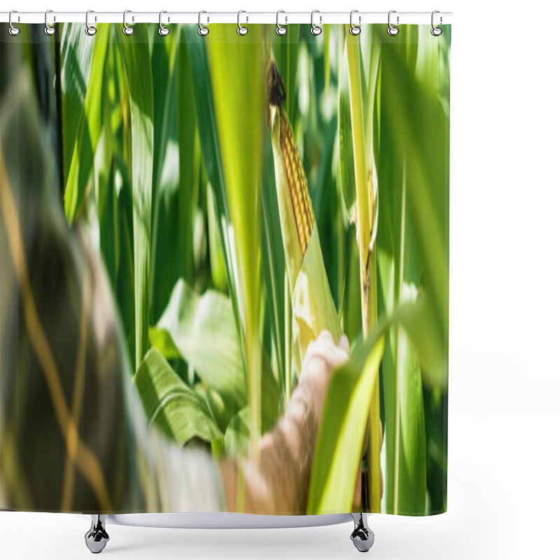 Personality  Panoramic Shot Of Farmer Touching Corn Near Green Leaves  Shower Curtains