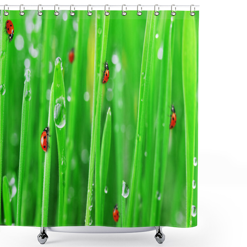 Personality  Ladybugs On Green Grass Shower Curtains