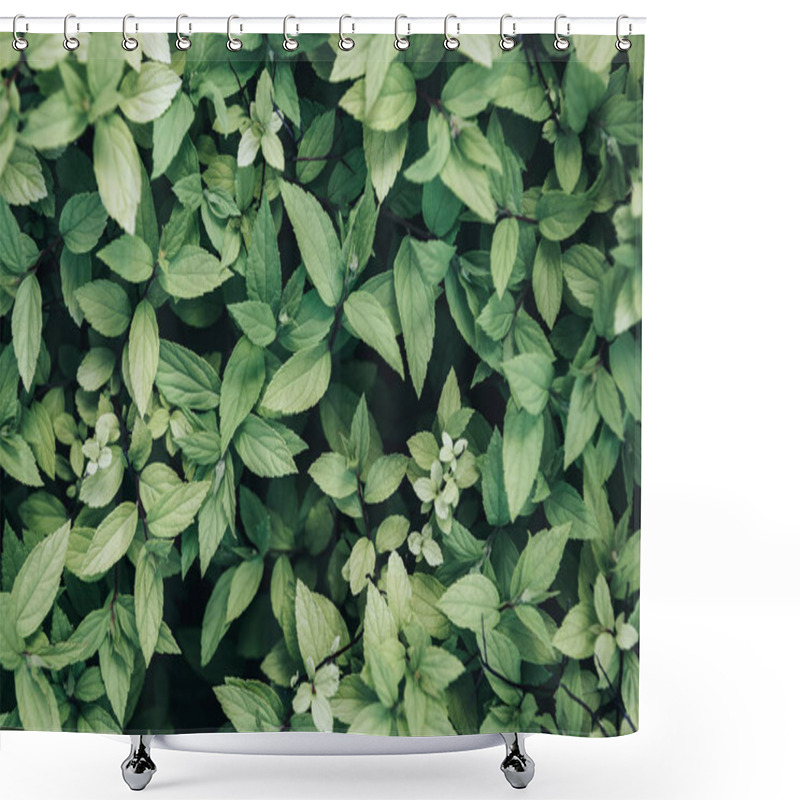 Personality  Full Frame Image Of Green Leaves Background  Shower Curtains