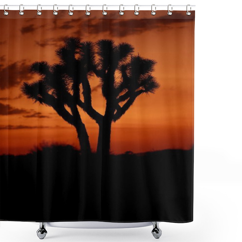 Personality  Desert Sunset Shower Curtains