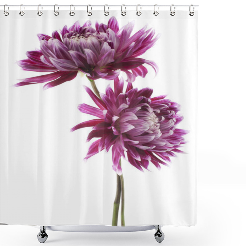 Personality  Dahlia Shower Curtains