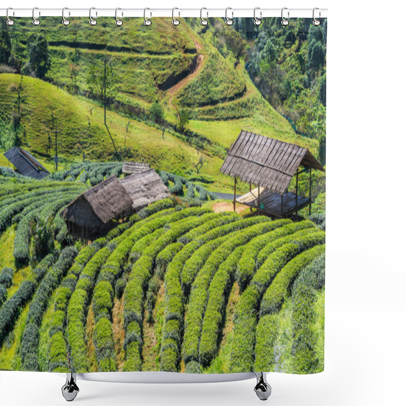 Personality  Green Tea Plantation Landscape Shower Curtains