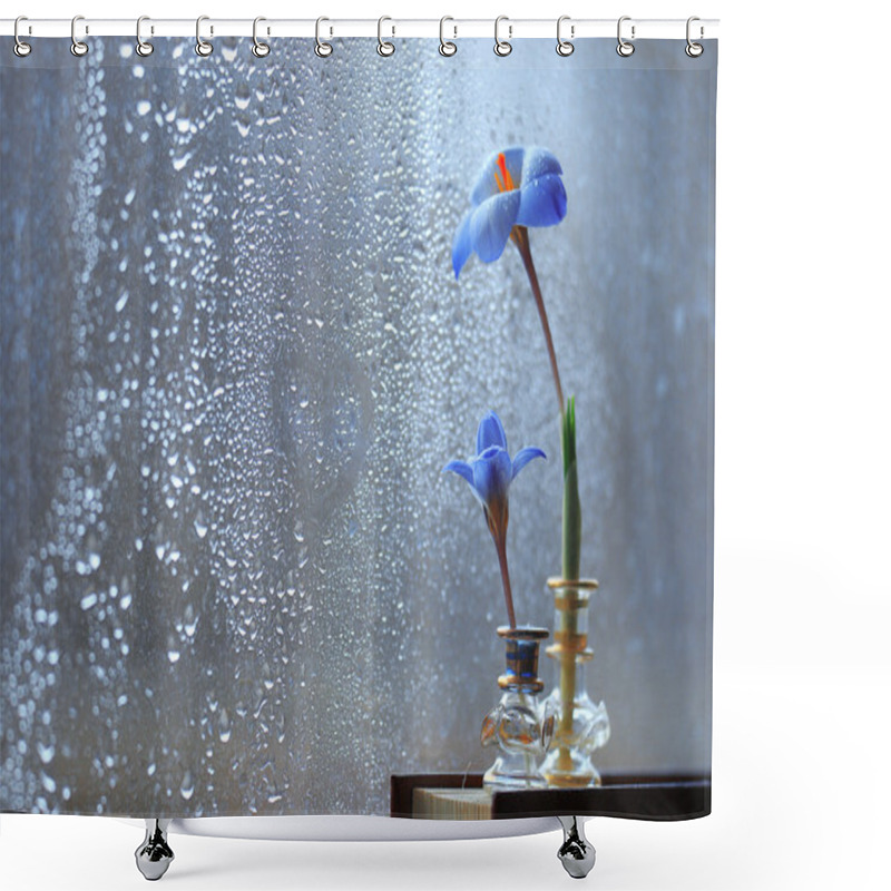 Personality  Blue Crocus Flowers On Book Shower Curtains