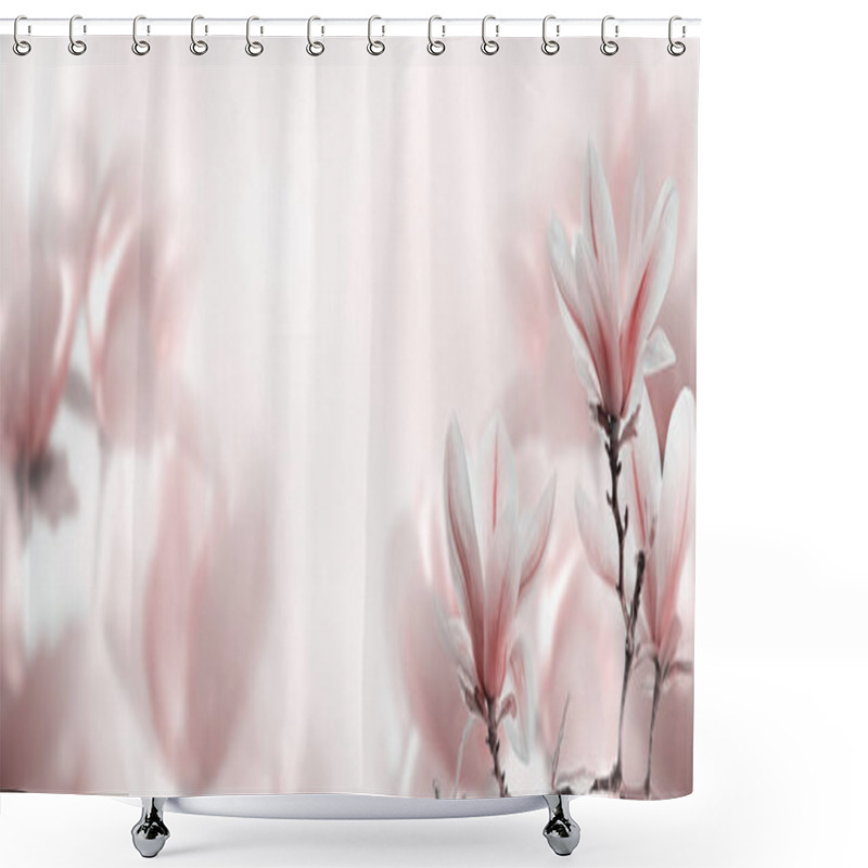 Personality  Closeup Of Blooming Magnolia Tree In Spring On Pastel Bokeh Back Shower Curtains