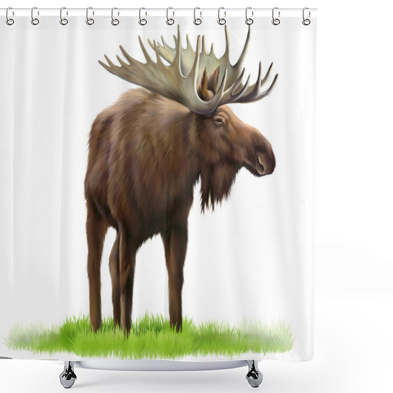 Personality  Moose On A Grass Shower Curtains