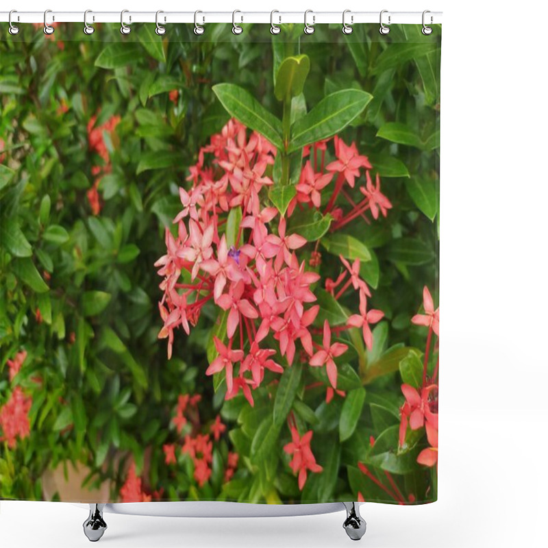 Personality  Summer Red Orange Flowers With Green Leaves Shower Curtains