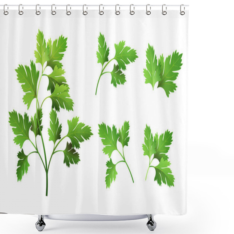 Personality  Realistic Fresh Parsley Leaf Herb. Isolated Flat Vector Element For Advertising Placard Or Banner. Vector Illustration On White Background Shower Curtains