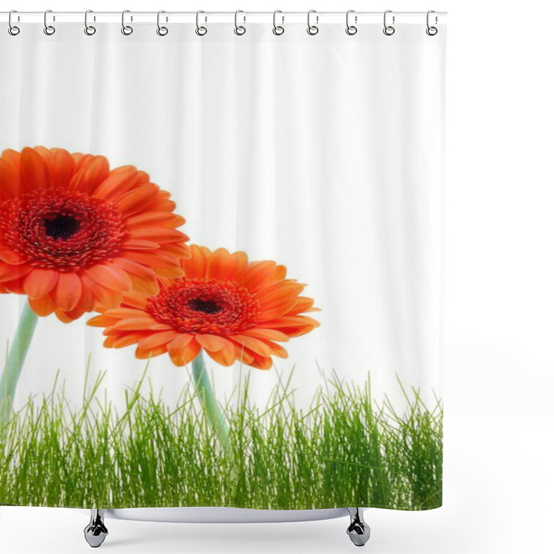 Personality  Flower Greeting Card Shower Curtains