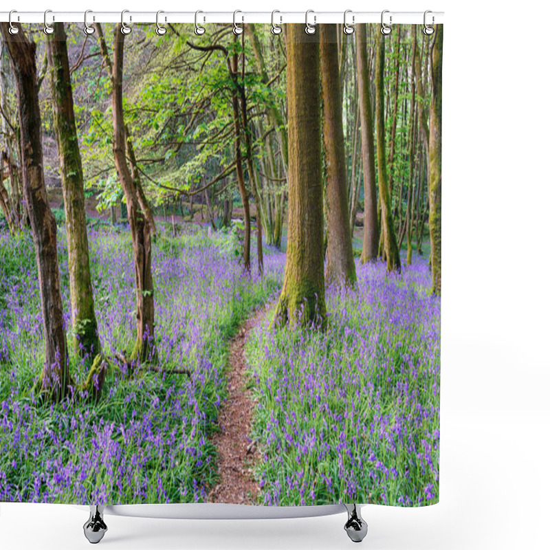 Personality  Spring Bluebell Woods Shower Curtains