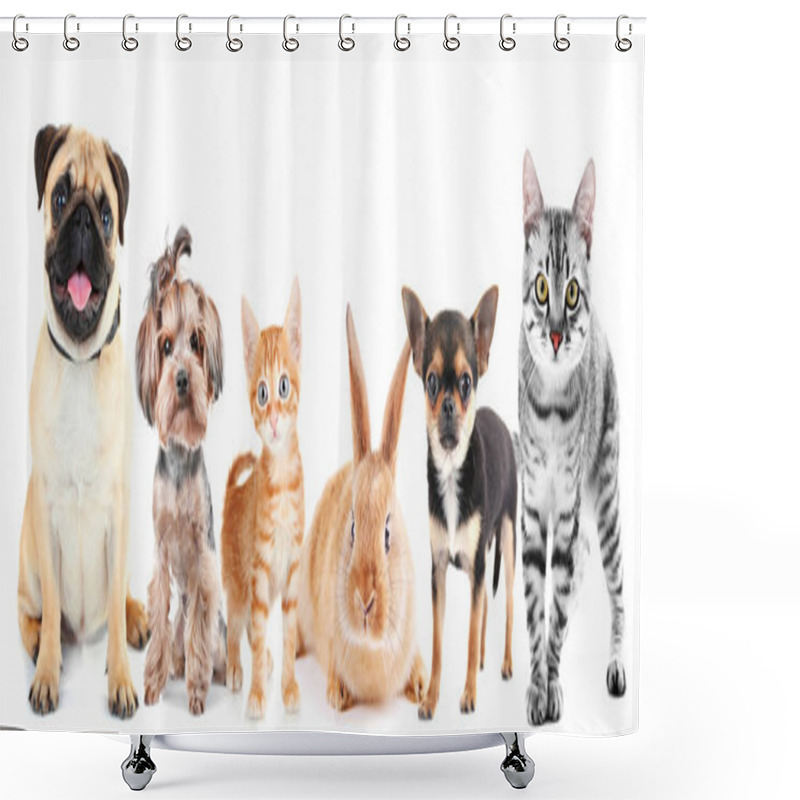 Personality  Cute Friendly Pets Shower Curtains