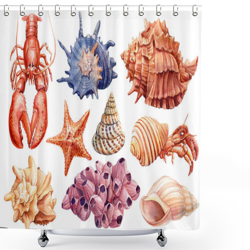 Personality  Watercolor Starfish, Coral, Lobster, Shells On Isolated White Background, Hand Painted Sea Illustration Shower Curtains