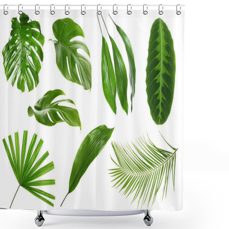 Personality  Different Green Tropical Leaves On White Background Shower Curtains