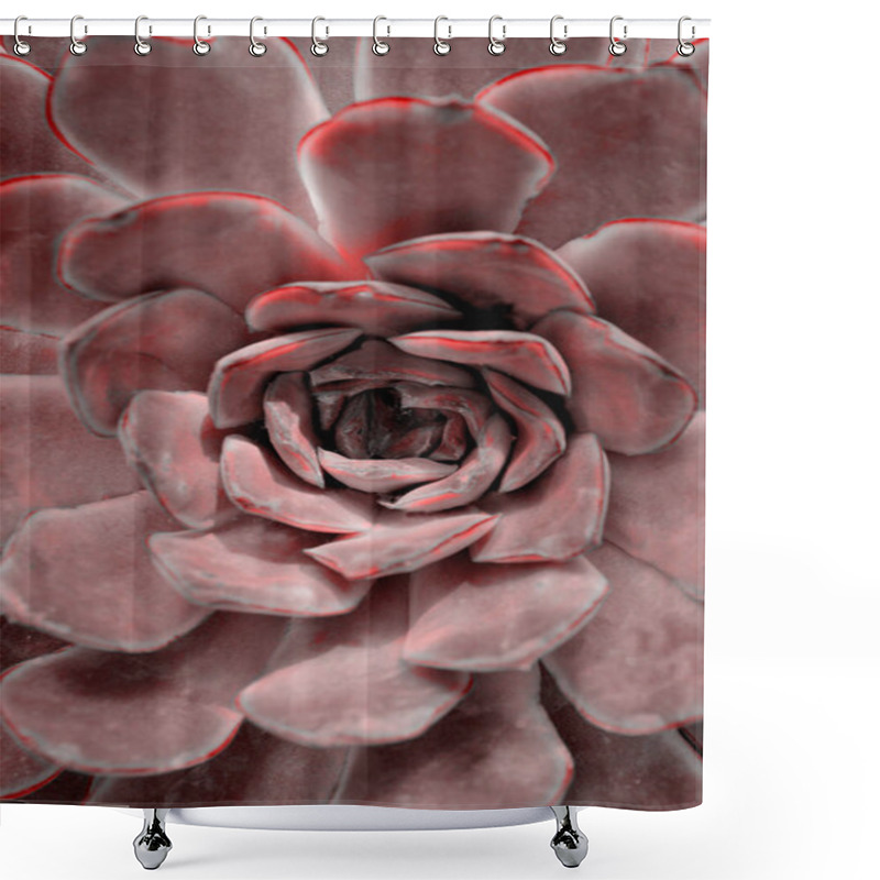 Personality  Cactus Plant Close Up. Concept Fashion Art. Minimal Surrealism.  Shower Curtains