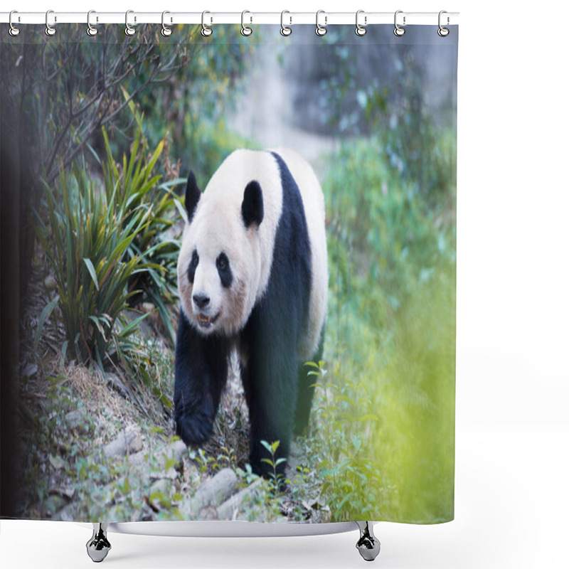 Personality  Panda In Park Shower Curtains