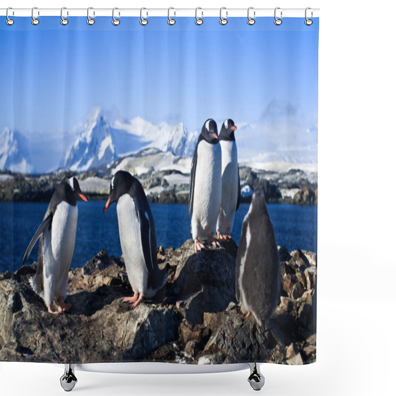 Personality  Group Of Penguins Shower Curtains