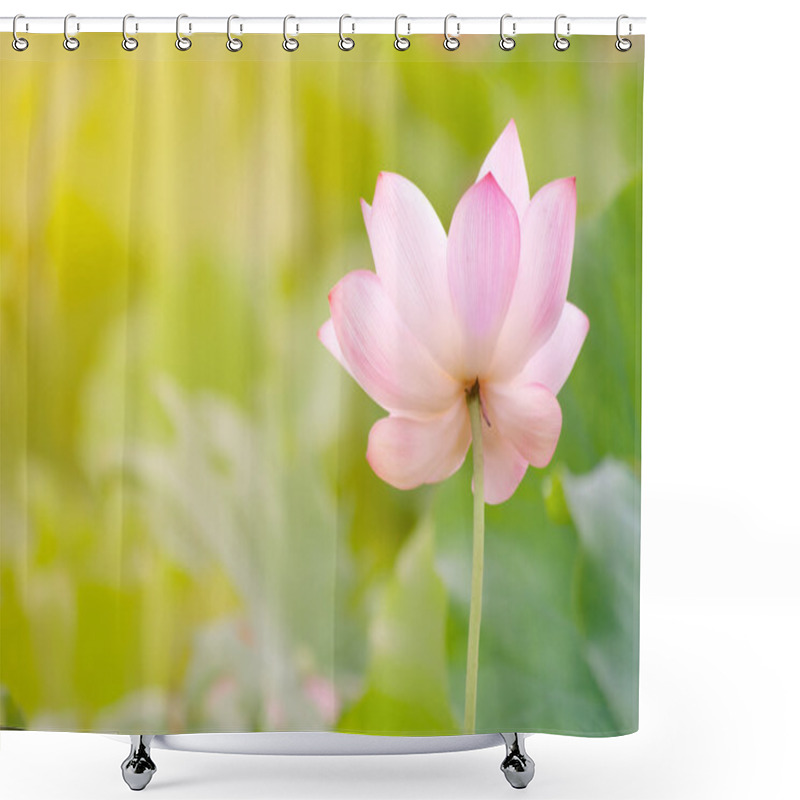 Personality  Morning Lotus Shower Curtains