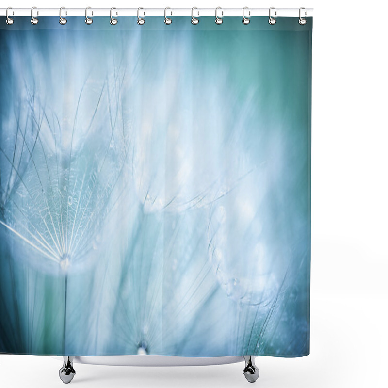 Personality  Dandelion Flower Background Shower Curtains