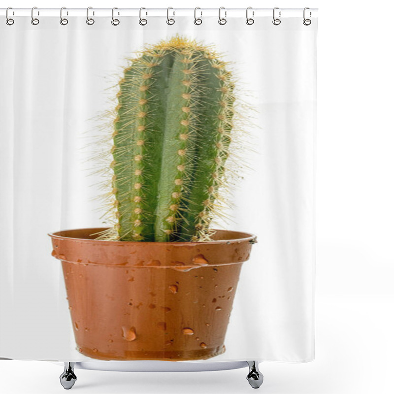 Personality  Small Tall Spiny Wet Cactus In A Plastic Pot, Side View, Isolated On White Background. Shower Curtains