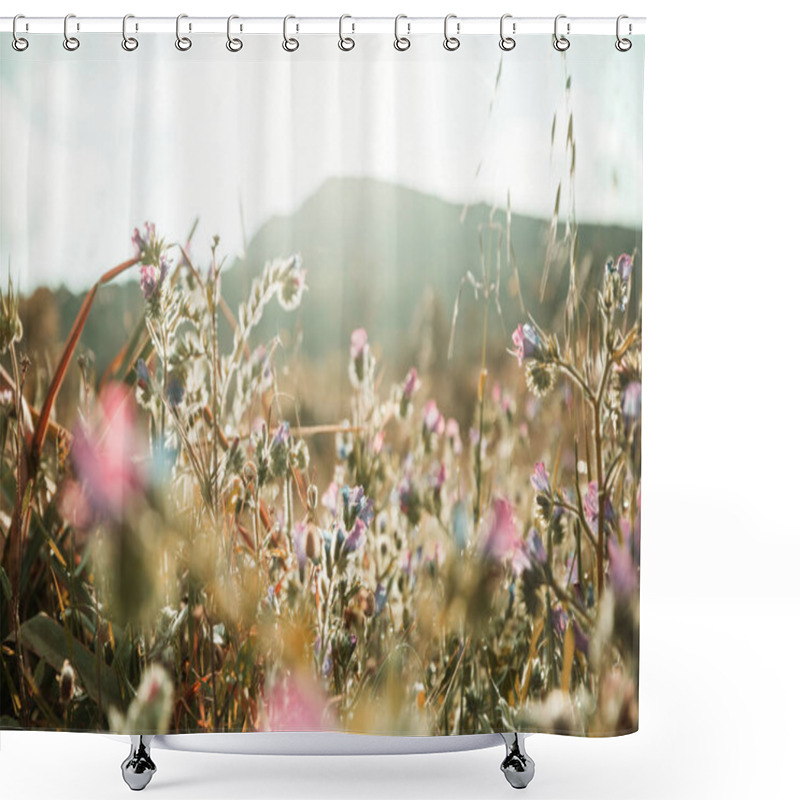 Personality  Sunny Day On The Flowers Meadow. Beautiful Natural Background. Shower Curtains