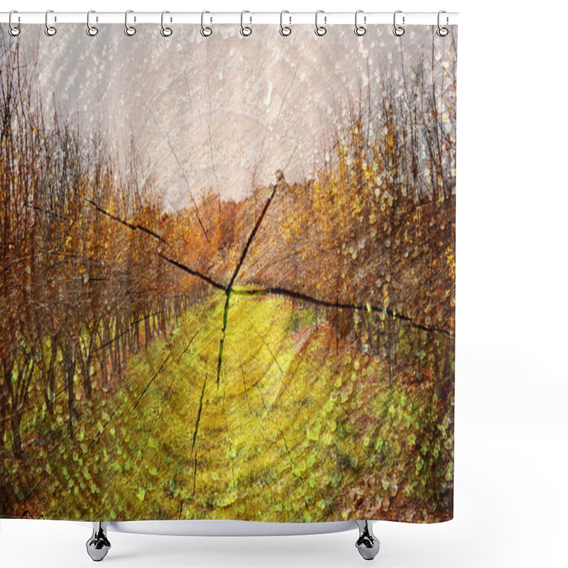 Personality  Double Exposure Of Trees At Woods And Cut Tree Trunk. Nature Background Shower Curtains