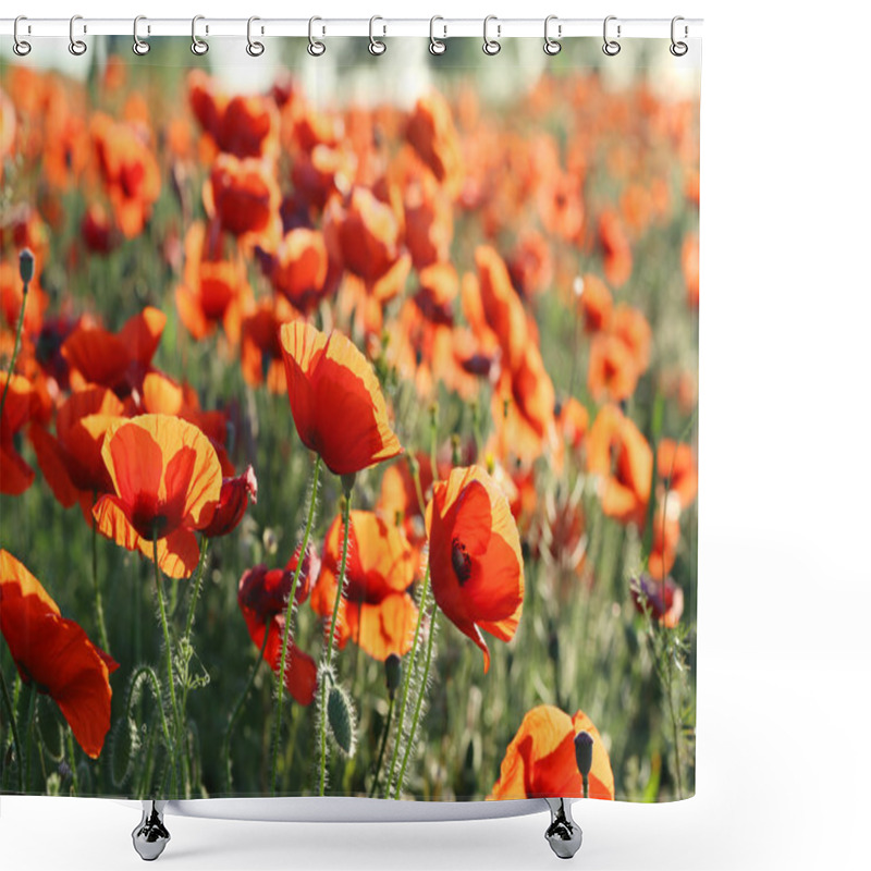 Personality  Red Poppy Flowers Field Shower Curtains