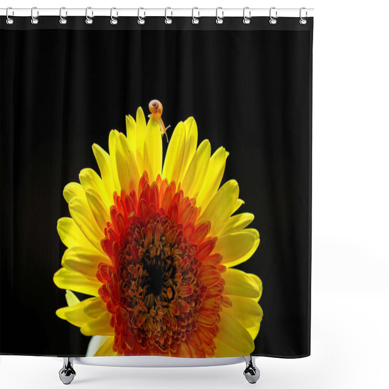 Personality  Macro Photography Shower Curtains