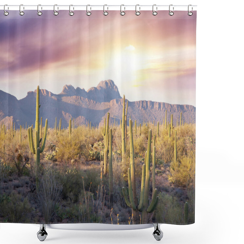 Personality  Saguaro Park Shower Curtains