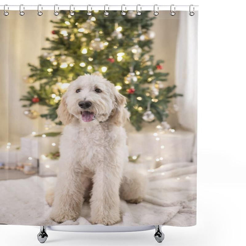 Personality  Dog Sitting In Front Of Lit Christmas Tree Shower Curtains