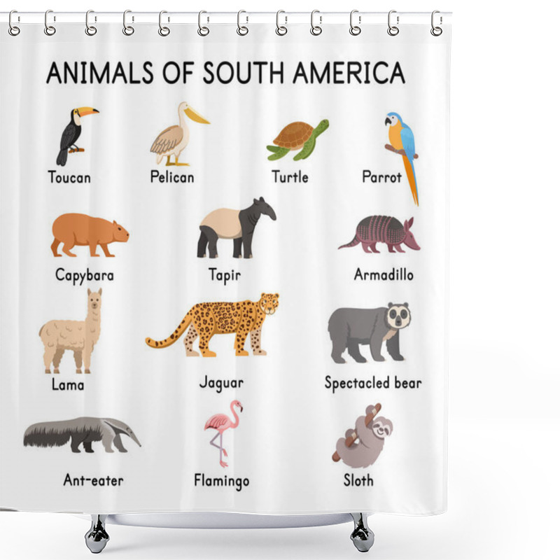 Personality   South Of American Animals: Toucan, Pelican, Turtle, Parrot, Capybara, Tapir, Llama, Jaguar, Spectacled Bear, Flamingo, Sloth, Armadillo, Ant-eater On A White Background.Flat Cartoon Illustration. Shower Curtains