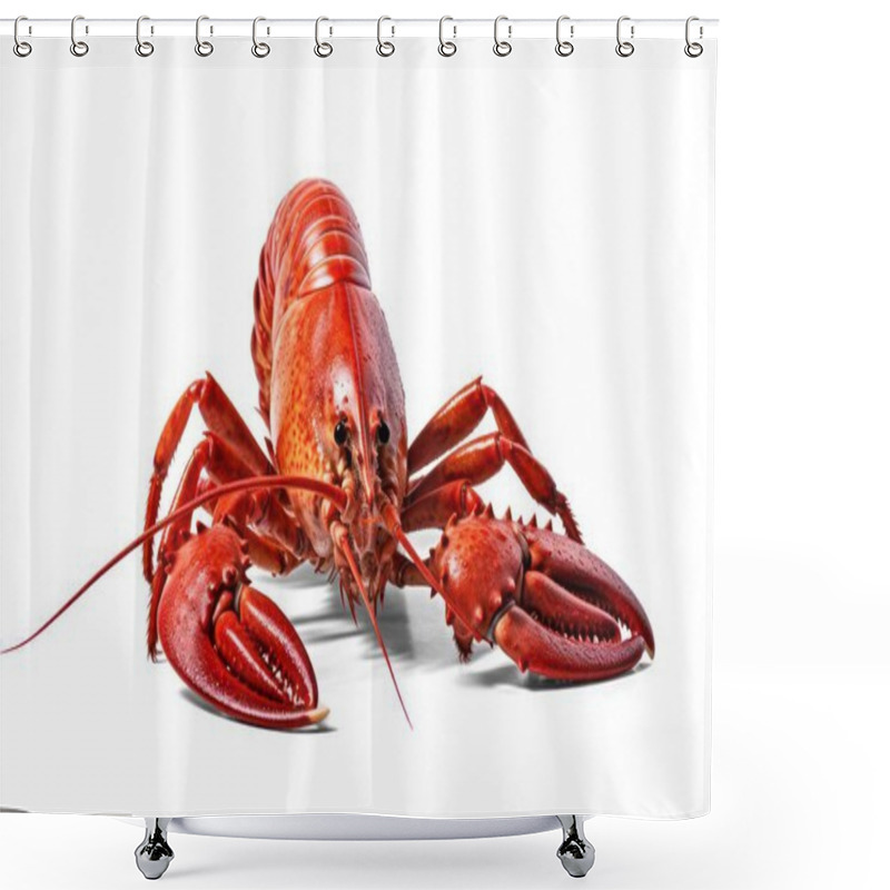 Personality  Seafood, Red Lobster Isolated On Transparent Background, Png File Shower Curtains