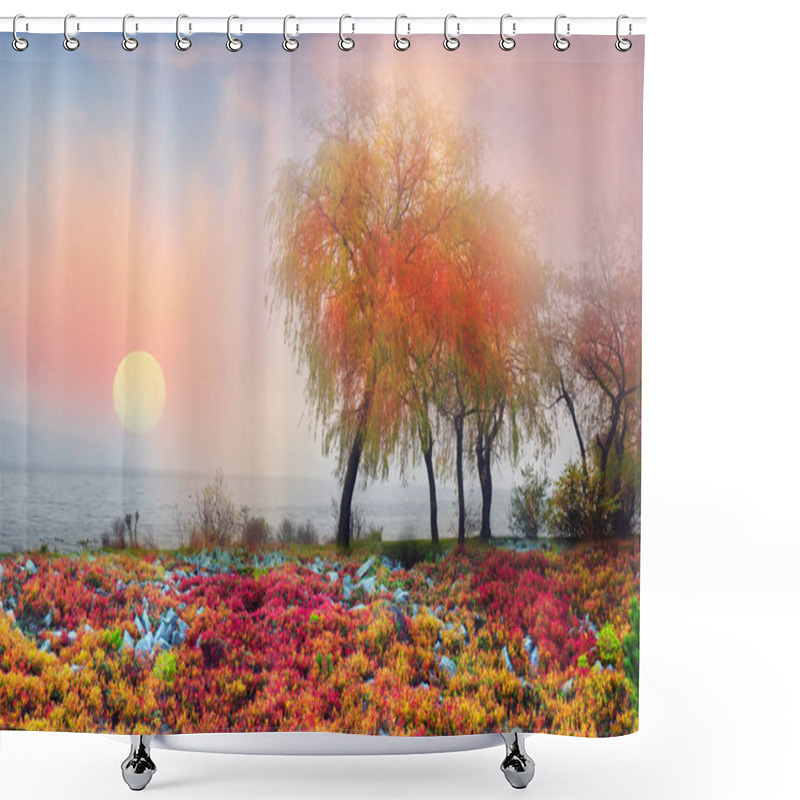 Personality  Three Golden Autumn Birches Near A Lake Shower Curtains