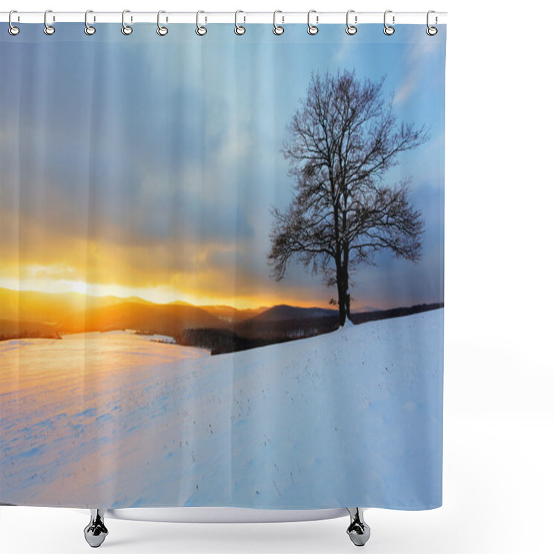 Personality  Winter Landscape Shower Curtains