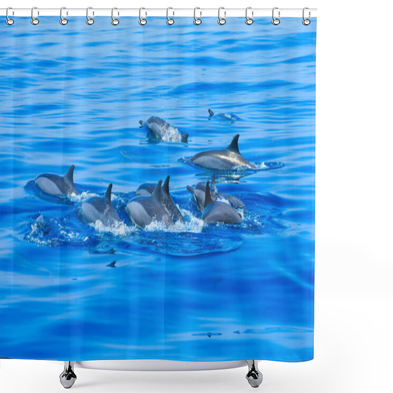 Personality  Dolphins Swimming In Ocean  Shower Curtains