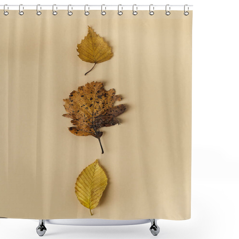 Personality  Beautiful Autumn Leaves On Pastel Background Shower Curtains